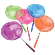 TELESCOPING BUTTERFLY NET