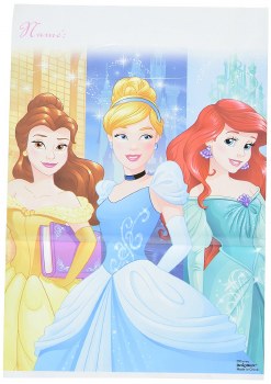 DREAM BIG DISNEY PRINCESS LOOT BAGS