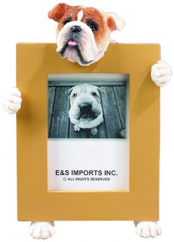 E &amp; S FRAME 2X3 BULLDOG