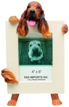 E &amp; S FRAME 2X3 IRISH SETTER