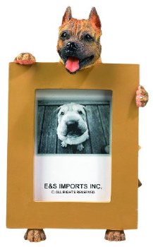 E &amp; S FRAME 2X3 PIT BULL