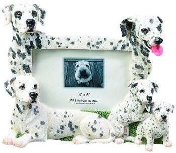 E &amp; S FRAME 4x6 DALMATION