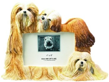 E &amp; S FRAME 4x6 LHASA APSO