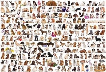 EUROGRAPHIC PUZZLE 2000PC DOGS