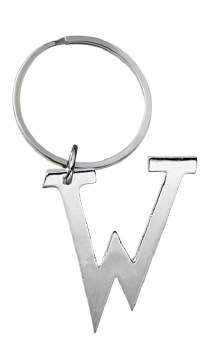 GANZ SILVER KEYRING W