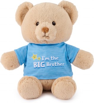GUND I'M THE BIG BROTHER BEAR 12"