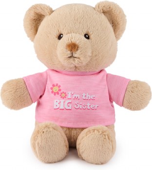 GUND I'M THE BIG SISTER BEAR 12"