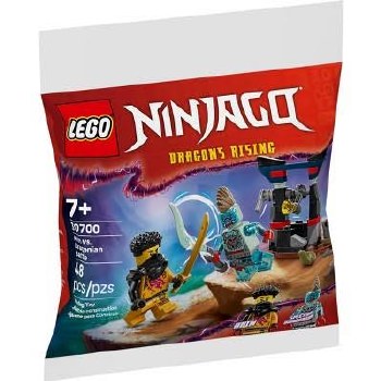 LEGO NINJAGO #30700 ARIN VS. GRAGONIAN