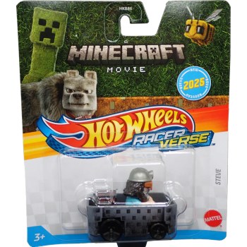 HOT WHEELS RACERVERSE MC STEVE