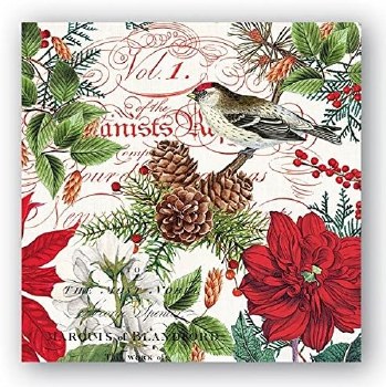 MICHEL &amp; CO LUNCH NAPKINS MERRY/BRIGHT