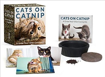 MINI KIT CATS ON CATNIP