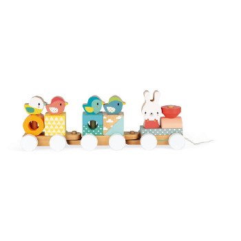 JANOD PURE WOODEN TRAIN TOY