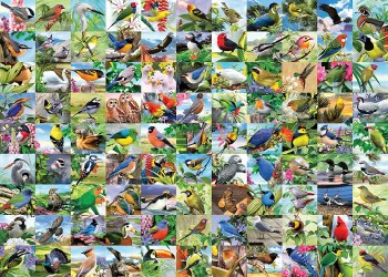 RAVENSBURGER 300pc 99 DELIGHTFUL BIRDS