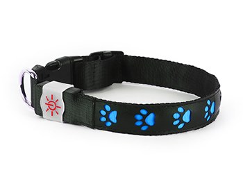 SCOUT LIGHT UP DOG COLLAR BLUE MEDIUM