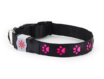 SCOUT LIGHT UP DOG COLLAR PINK LARGE