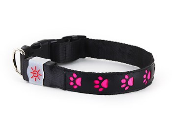 SCOUT LIGHT UP DOG COLLAR PINK SMALL