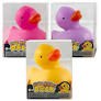 SQUISHI DUCK