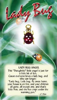THOUGHTFUL ANGEL PIN LADYBUG