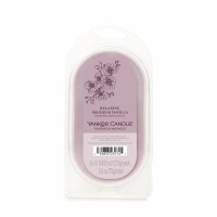 YANKEE WAXMELTS 6ct ORCHID & VANILLA