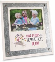 PAVILION FRAME GRANDMOTHER