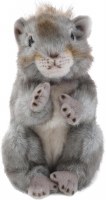 BEARINGTON PEANUT THE SQUIRREL
