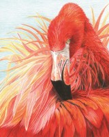 ROYAL PENCIL BY NUMBER SET FLAMINGO