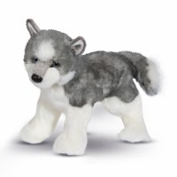 DOUGLAS SASHA HUSKY