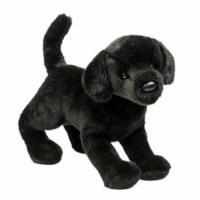 DOUGLAS CHESTER BLACK LAB