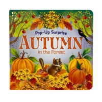 POP UP SURPRISE BOOK AUTUMN IN FOREST