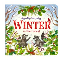 POP UP SURPRISE WINTER IN THE FOREST BK