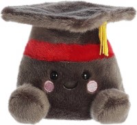 PALM PALS SCHOLARLY GRADUATION CAP