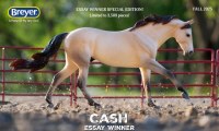 BREYER CASH QTR HORSE ESSAY WINNER 2025