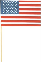 AMERICAN FLAG 6" x 9" PLASTIC