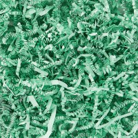 AMSCAN PAPER SHRED MINT