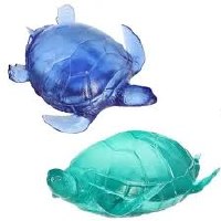 AURORA SEA TURTLE SQUEEZY