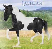 BREYER FALL 2026 FLAGSHIP HORSE LACHLAN
