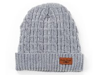 BRITT'S KNITS CHENILLE HAT GRAY