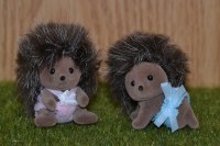 CALICO CRITTERS HEDGEHOG TWINS