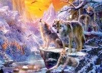 CEACO 1000PC PUZZLE WINTER WOLF FAMILY