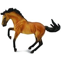 COLLECTA BUCKSKIN LUSITANO STALLION