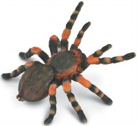 COLLECTA MEXICAN REDKNEE TARANTULA