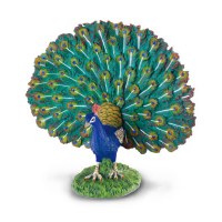 COLLECTA PEACOCK