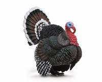 COLLECTA TURKEY