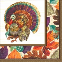 TRADITIONAL TURKEY DINNER NAPKINS 16ct