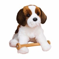 DOUGLAS OMA ST. BERNARD