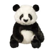 DOUGLAS PAYA PANDA