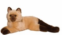 DOUGLAS SEBASTIAN HIMALAYAN CAT