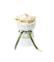 ROLIFE CAMELLIA