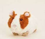 WARMIES GUINEA PIG