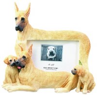 E & S DOG FRAME 4x6 GREAT DANE